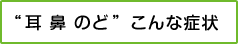 耳 鼻 のど こんな症状